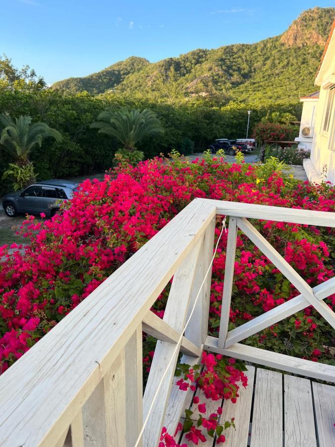Sunny Villa In The Marina - Excellent Water Views Jolly Harbour Exterior foto